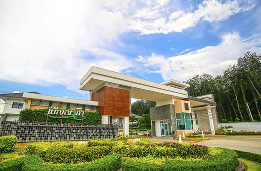 รูป Benyapha Pluakdaeng - รูปที่ 2/11