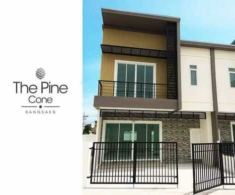 Project The Pine Cone Bangsaen Picture - 3/11