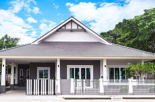 Project The Bella Picture - 2/12