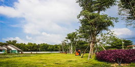 รูป Themaple Pattaya - รูปที่ 2/13