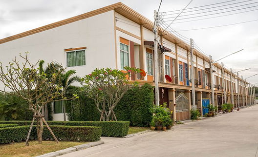 Project Darrin Picture - 4/13