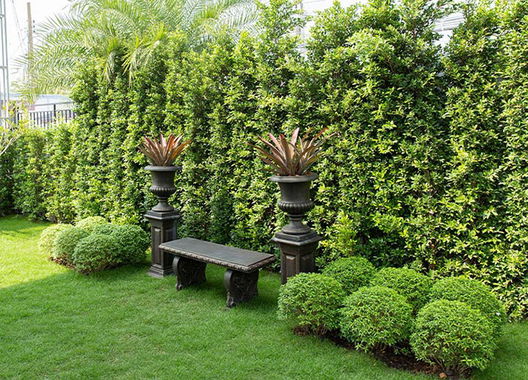 รูป Greenvale Westgate - รูปที่ 2/13