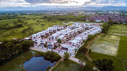 รูป Rochalia - รูปที่ 3/12