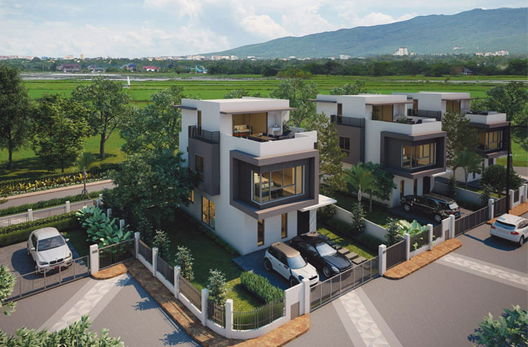 รูป Rochalia - รูปที่ 2/12