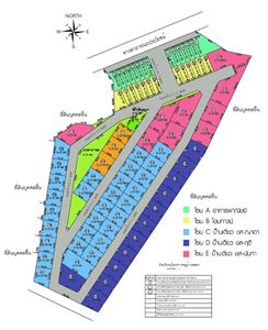 ชลดา ปาร์ค