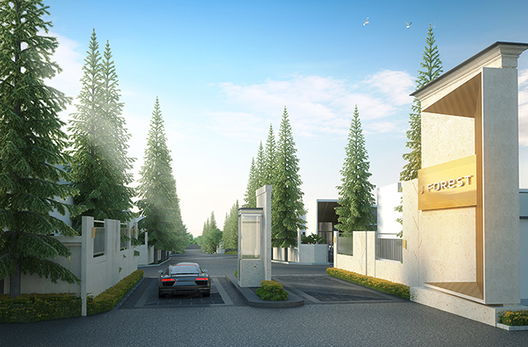 Project J Forest Amata 2 Picture - 2/13