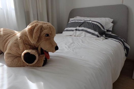 รูป Delight ville - รูปที่ 5/9