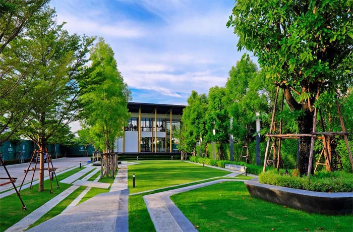 รูป Flora Tiwanon - รูปที่ 1/13