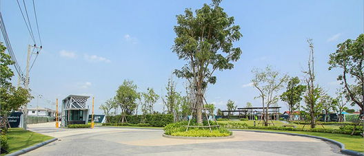 รูป The Plant Pinklao-Sai 5 - รูปที่ 5/7