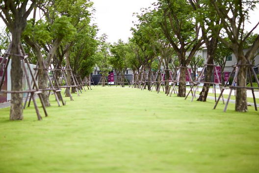 รูป Casa Presto Pracha-uthit 90 - รูปที่ 5/10