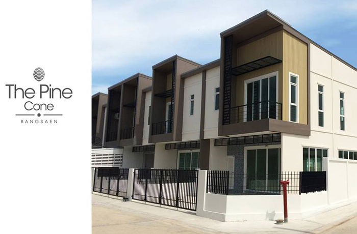 Project The Pine Cone Bangsaen Picture - 1/11