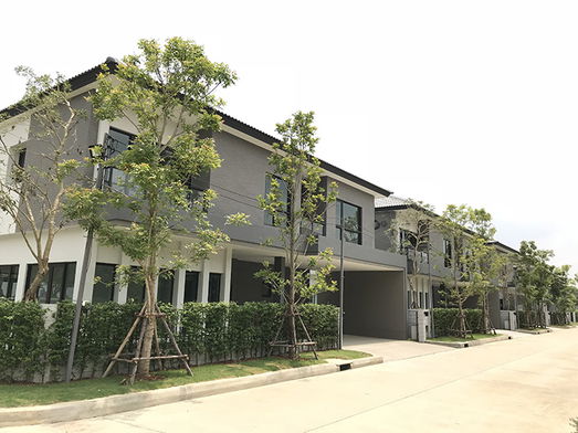 Project Centro Ratchapruek-Suan Pak Picture - 4/13