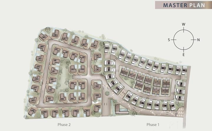 รูป Rochalia - รูปที่ 1/12