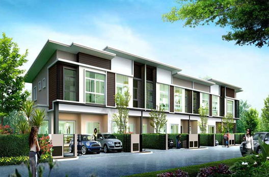 Project The Clover Picture - 2/7