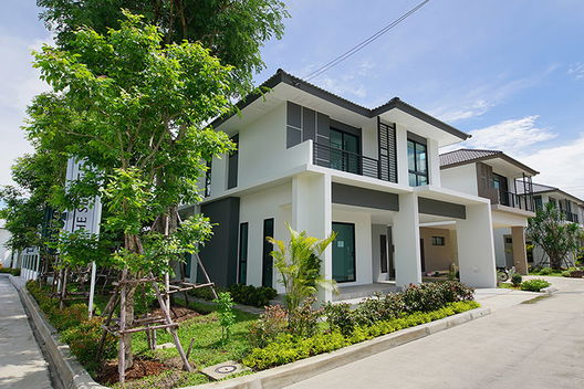 Project The Serene Picture - 3/13