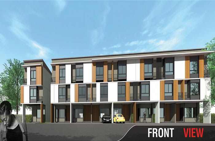 Project The Freedom Picture - 1/11