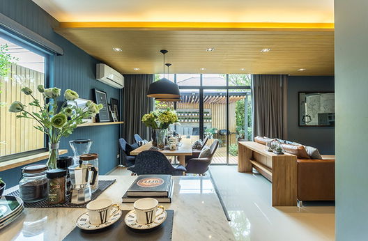 Project Areeya Como Wongwaen-Ramintra Picture - 5/10