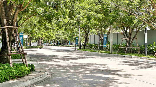 รูป Mantana Wongwaen-Bangbon - รูปที่ 2/10