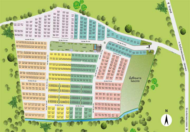 รูป Benyapha Pluakdaeng - รูปที่ 1/11