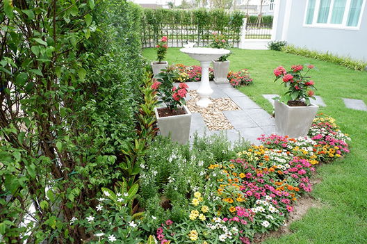 Project Kunalai Pollen Picture - 4/13