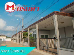 Project Miranda Sattahip-Yak J Picture - 2/10