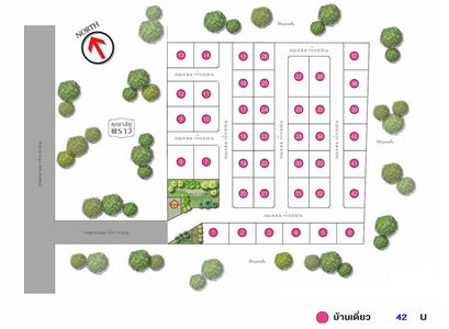 คุณาลัย พอลเลน