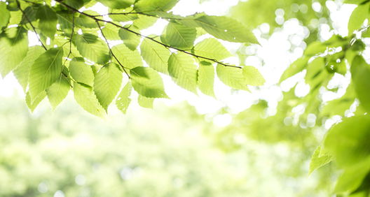 รูป Ryu O Village Plaukdaeng-Maenam Khu Soi 3 - รูปที่ 4/7