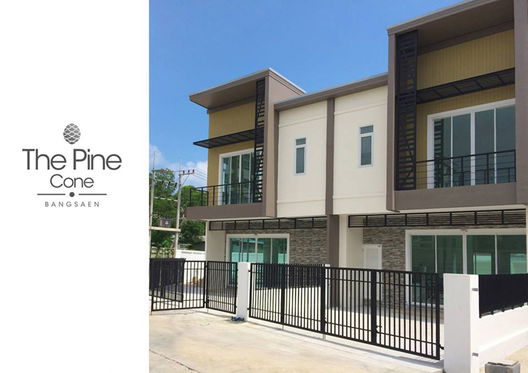 Project The Pine Cone Bangsaen Picture - 2/11