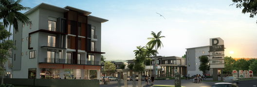 Project D Town Grow Suansear-Sriracha Picture - 2/13