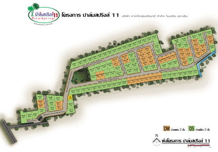 ปาล์มสปริงส์ 11