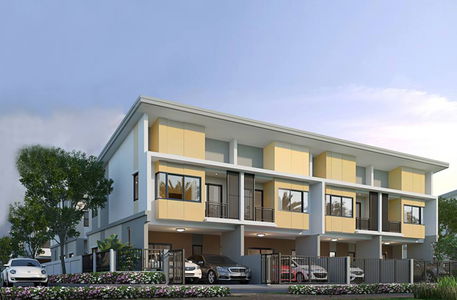 พฤกษาพรรณ กระดีเดียว 3