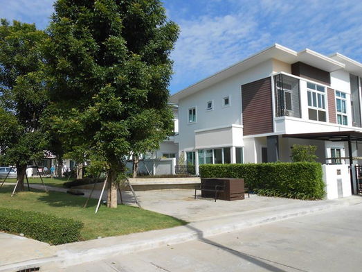 Project The Clover Picture - 3/7