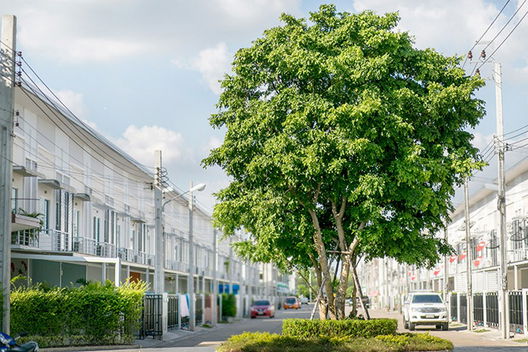 รูป RK Park Ramintra-Safari - รูปที่ 2/13