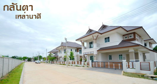 Project Glunta Laonadee Picture - 3/8