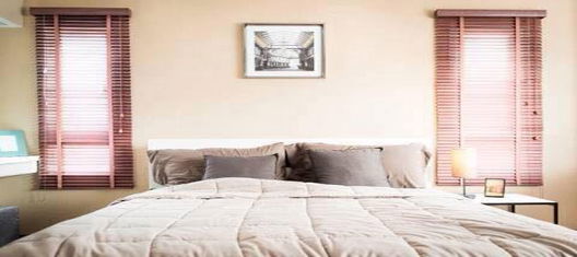 Project Jeera High Speed Town Korat Picture - 5/8