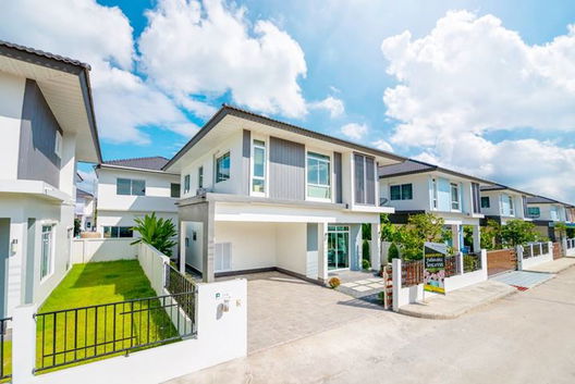 Project Central Park Picture - 3/13