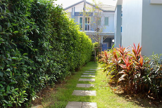 รูป Pracharsuk 6 (Baan Mai) - รูปที่ 4/13