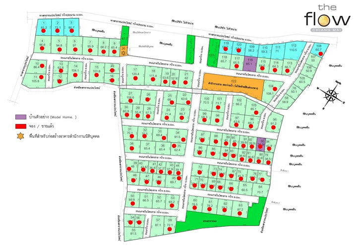 รูป The Flow - รูปที่ 1/6