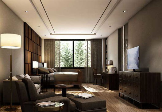 Project Romson Grand Ville Picture - 5/13