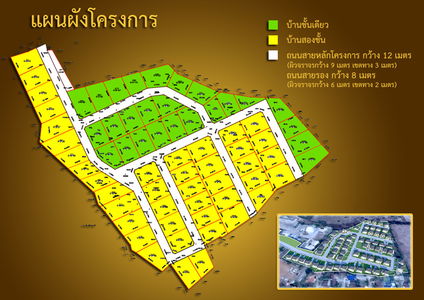 กล้วยไม้ @กลางเมือง