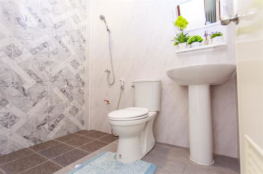 รูป CK Ville 6 Rama 2 - Khokkham - รูปที่ 5/13