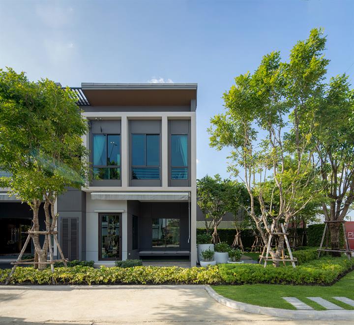 รูป Pleno Suksawat 70 - รูปที่ 1/13