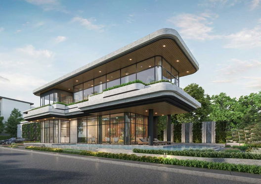 รูป THE GENTRY CULTIVAR RAMA 9 - รูปที่ 4/5