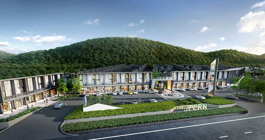 รูป Fern - รูปที่ 2/13