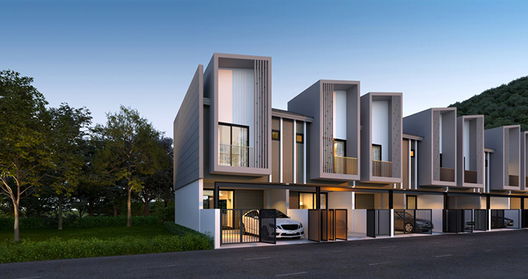 รูป Fern - รูปที่ 4/13