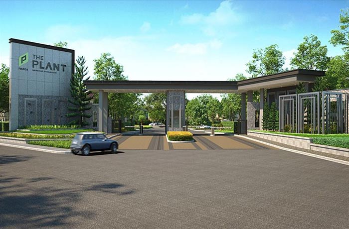 Project The Plant Krungthep-Pathumthani Picture - 1/10
