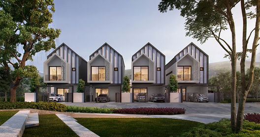 รูป Fern - รูปที่ 5/13