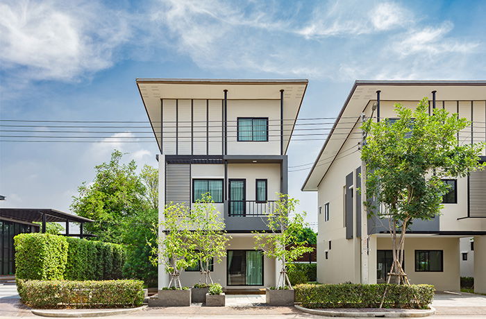 Project Vista Mini Klong 4 Lamlukka Picture - 1/13