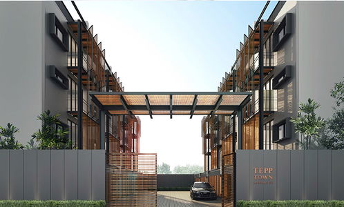 เทปป์ ทาวน์