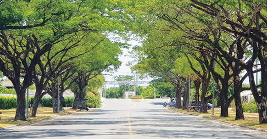 รูป Silverlake Park Suwinthawong 78 - รูปที่ 2/8